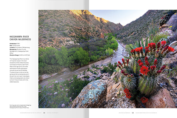 Arizona Wilderness: A Celebration of the 90 Most Pristine Places in the State / by Jonathan Buford