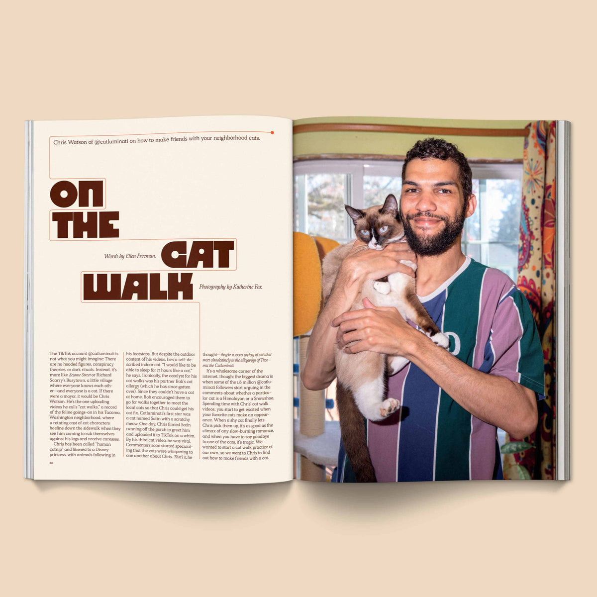 Catnip Magazine: A Magazine for Cat People / Vol 1
