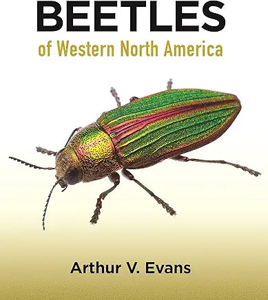 Beetles of Western North America / by Arthur V. Evans
