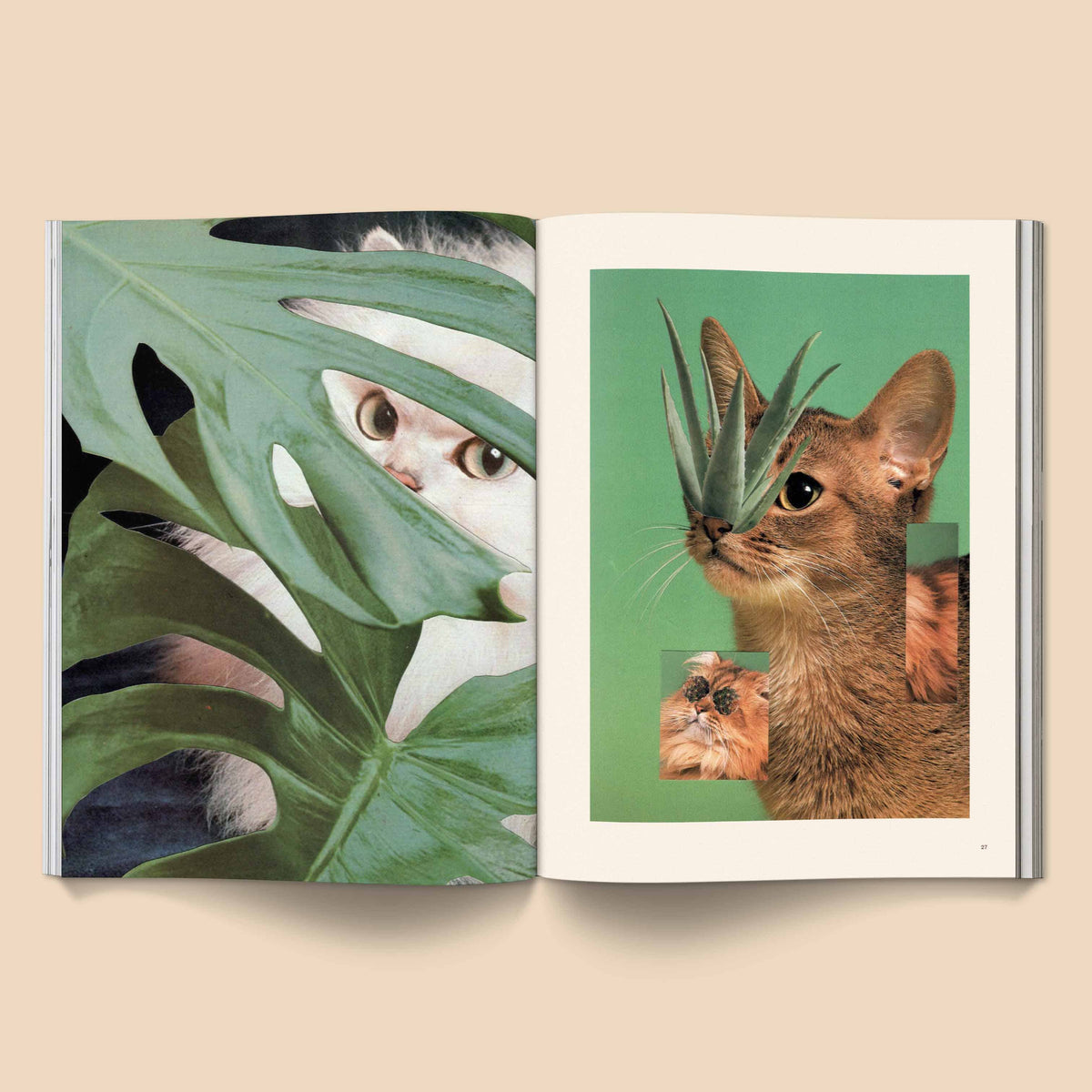 Catnip Magazine: A Magazine for Cat People / Vol 1