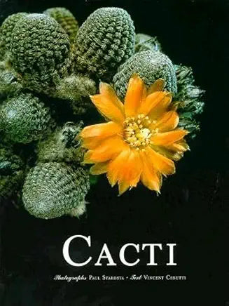 Cacti / photographs Paul Starosta; text Vincent Cerutti