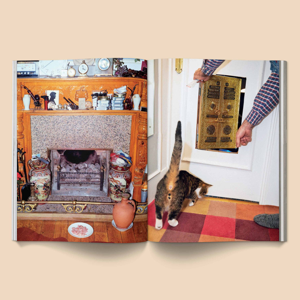 Catnip Magazine: A Magazine for Cat People / Vol 1