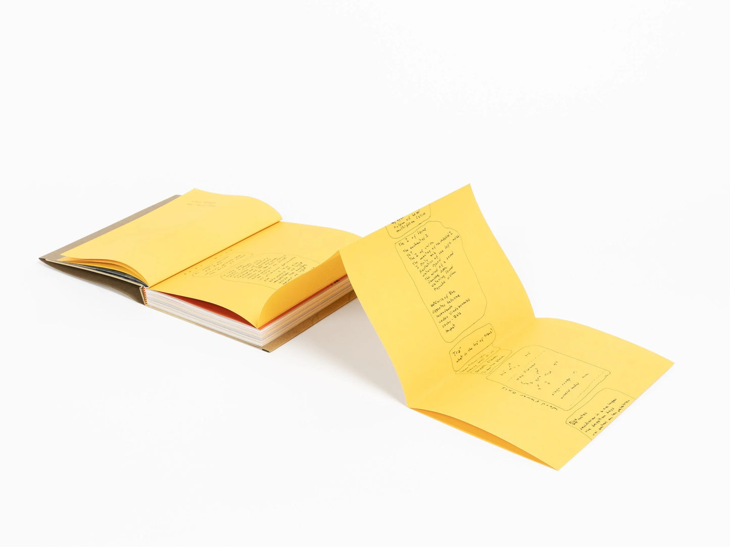 Cecilia Vicuña: Deer Book/Libro Venado