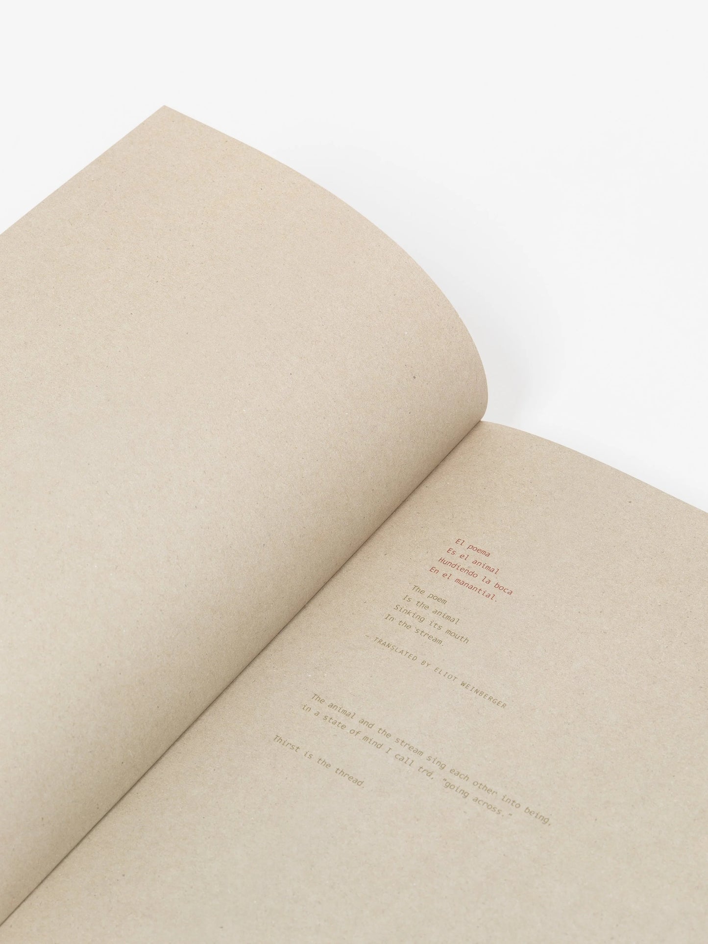 Cecilia Vicuña: Deer Book/Libro Venado
