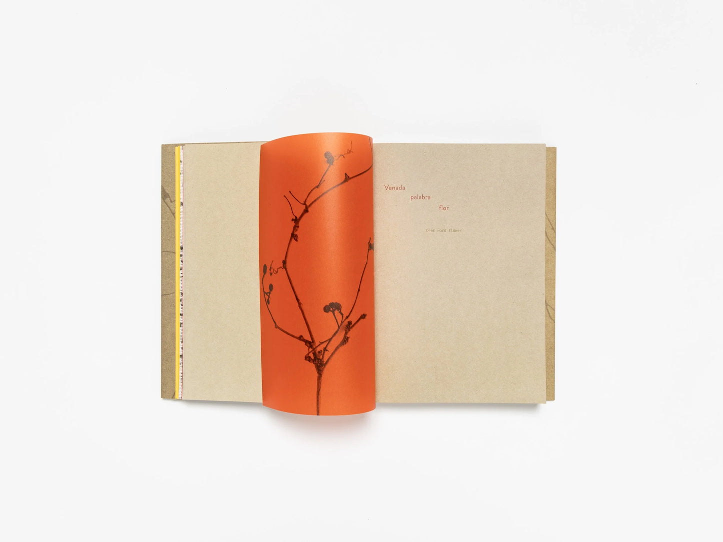 Cecilia Vicuña: Deer Book/Libro Venado