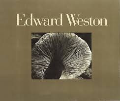 Edward Weston: Fifty Years, The definitive volume of his photographic work / Illustrated biography by Ben Maddow