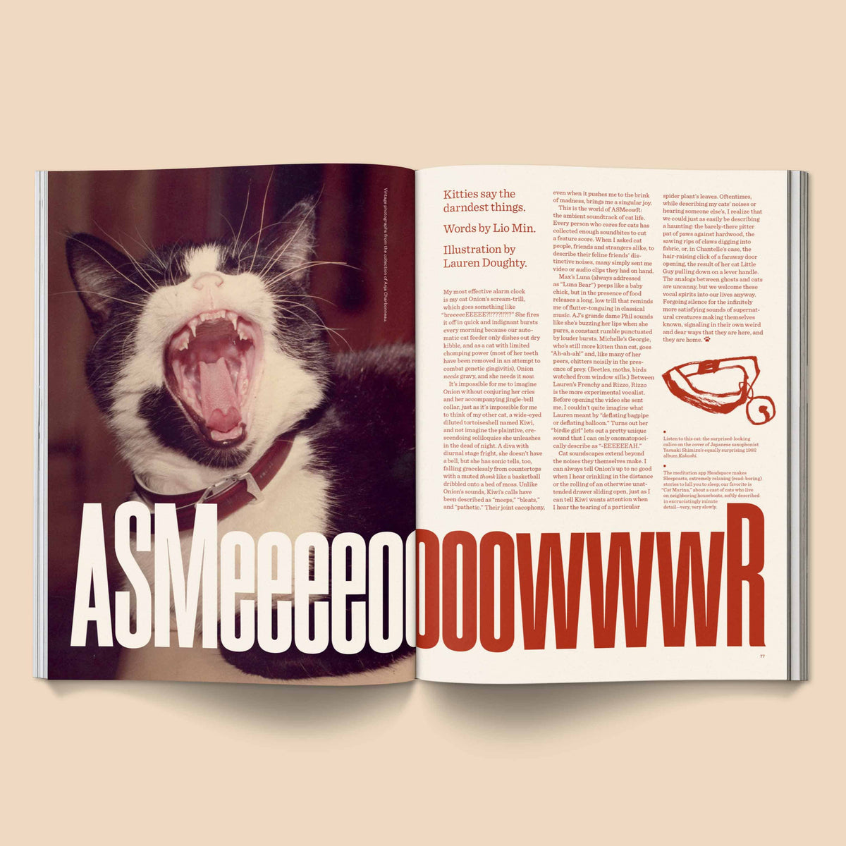 Catnip Magazine: A Magazine for Cat People / Vol 1