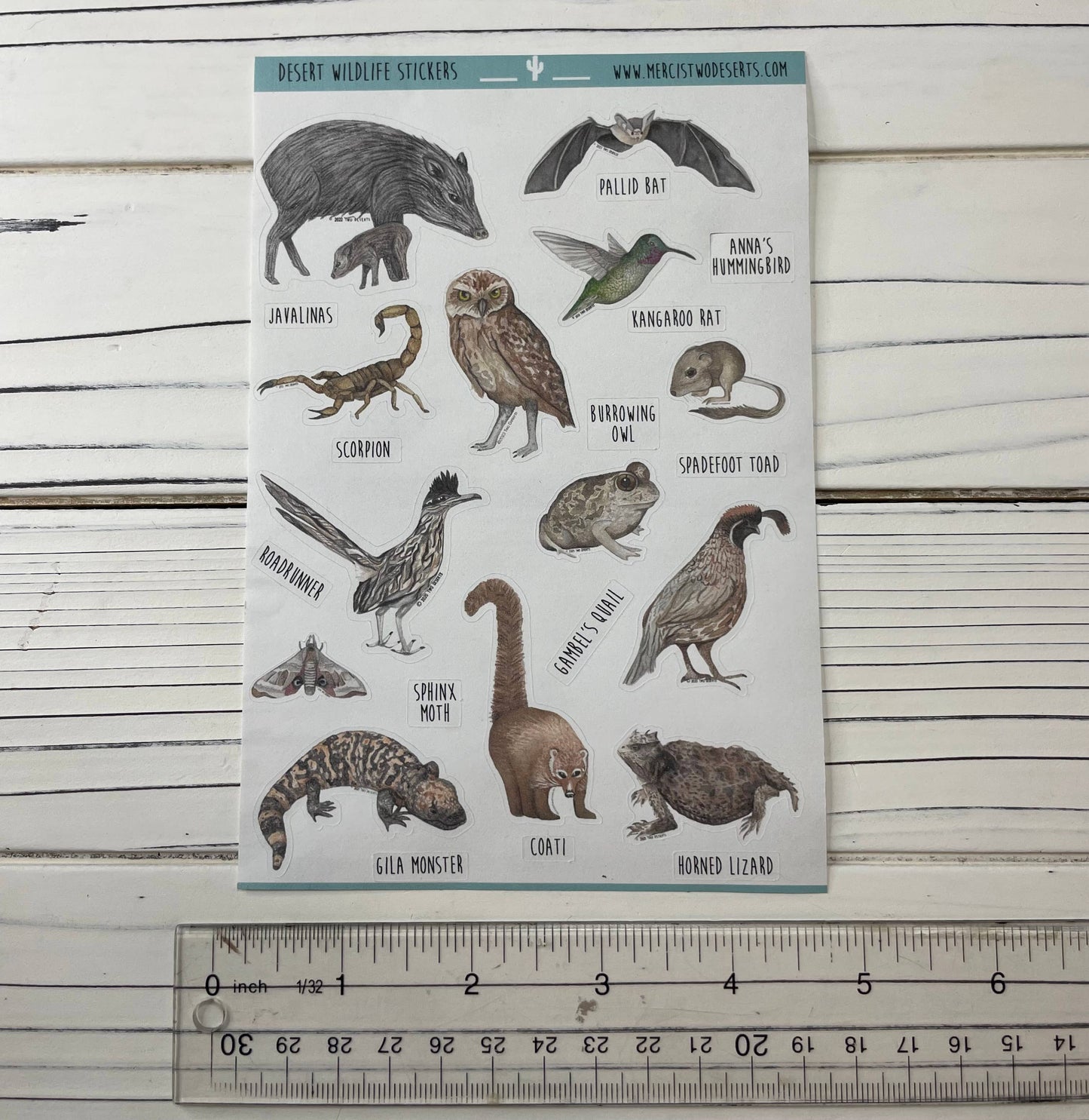 Animal Stickers - Desert Wildlife - Paper Sticker Sheet