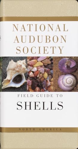 National Audubon Society Field Guide to North American Seashells / National Audubon Society