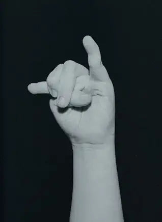 Fingers / Ilse Oosterkamp
