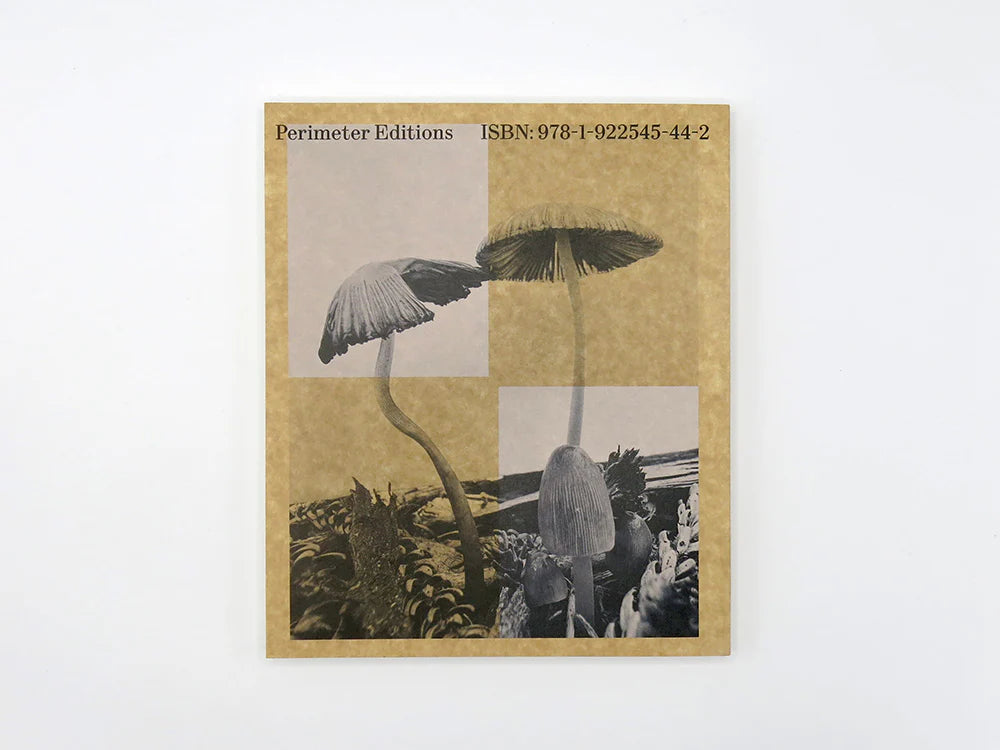 Fruiting Bodies / Ying Ang