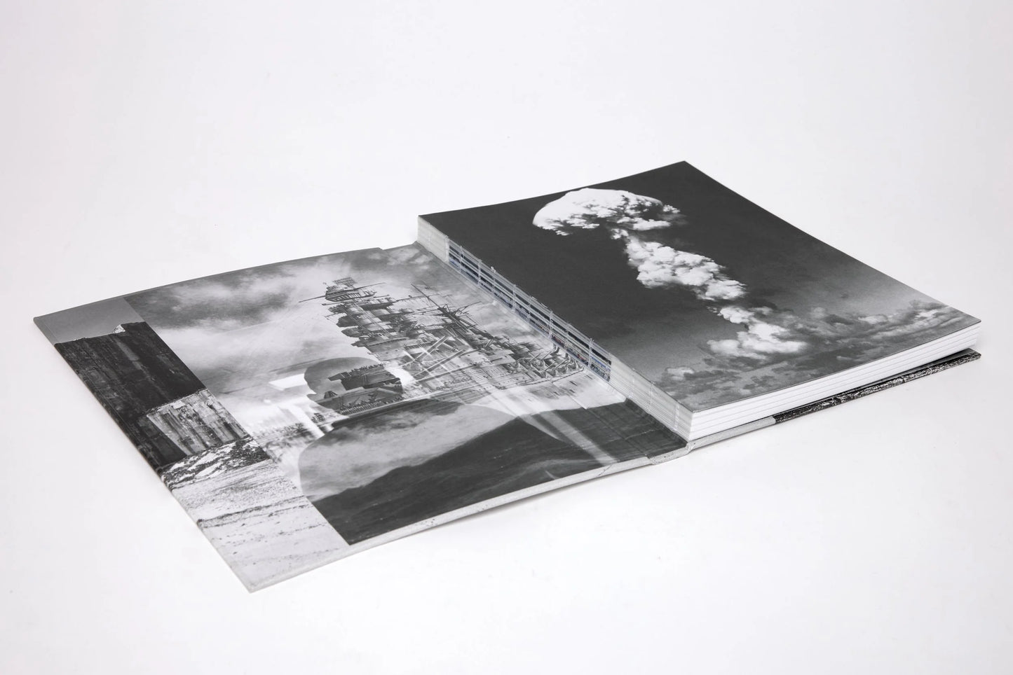 Mark Klett and William L. Fox: Remembering the Future (NEW)