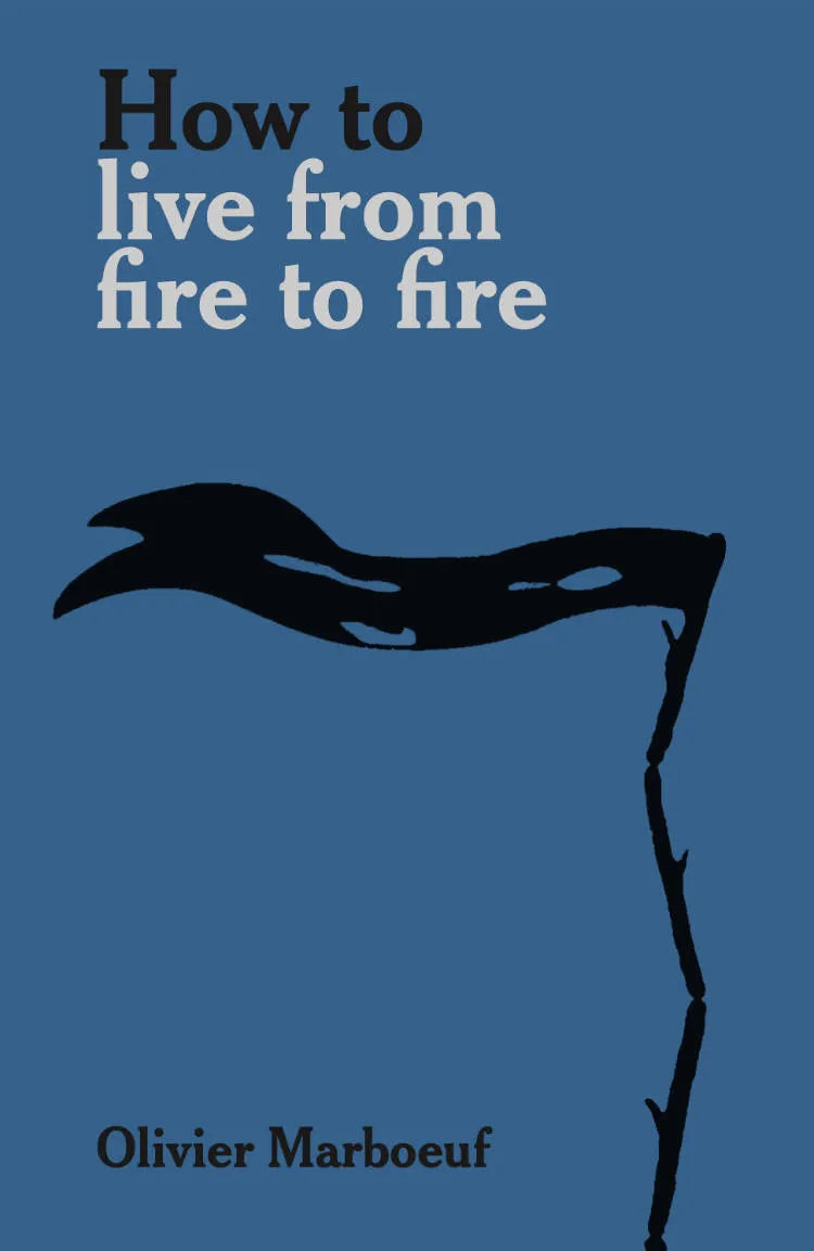 How to Live from Fire to Fire / Olivier Marboeuf