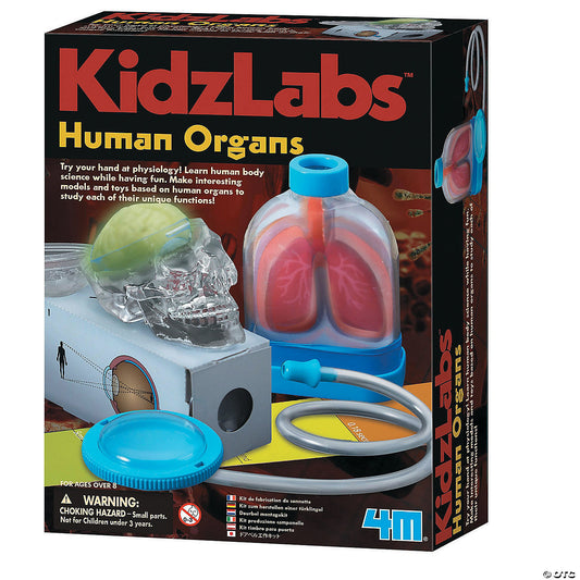 4M Kidz Labs Science & Learning Kit: Human Organs / 4M Kidz Labs
