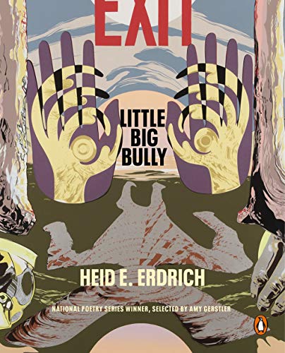 Little Big Bully / Heid E. Erdrich