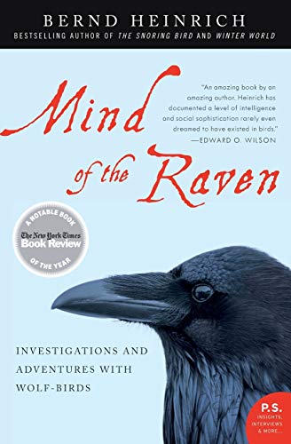 Mind of the Raven: Investigations and Adventures with Wolf-Birds / Bernd Heinrich