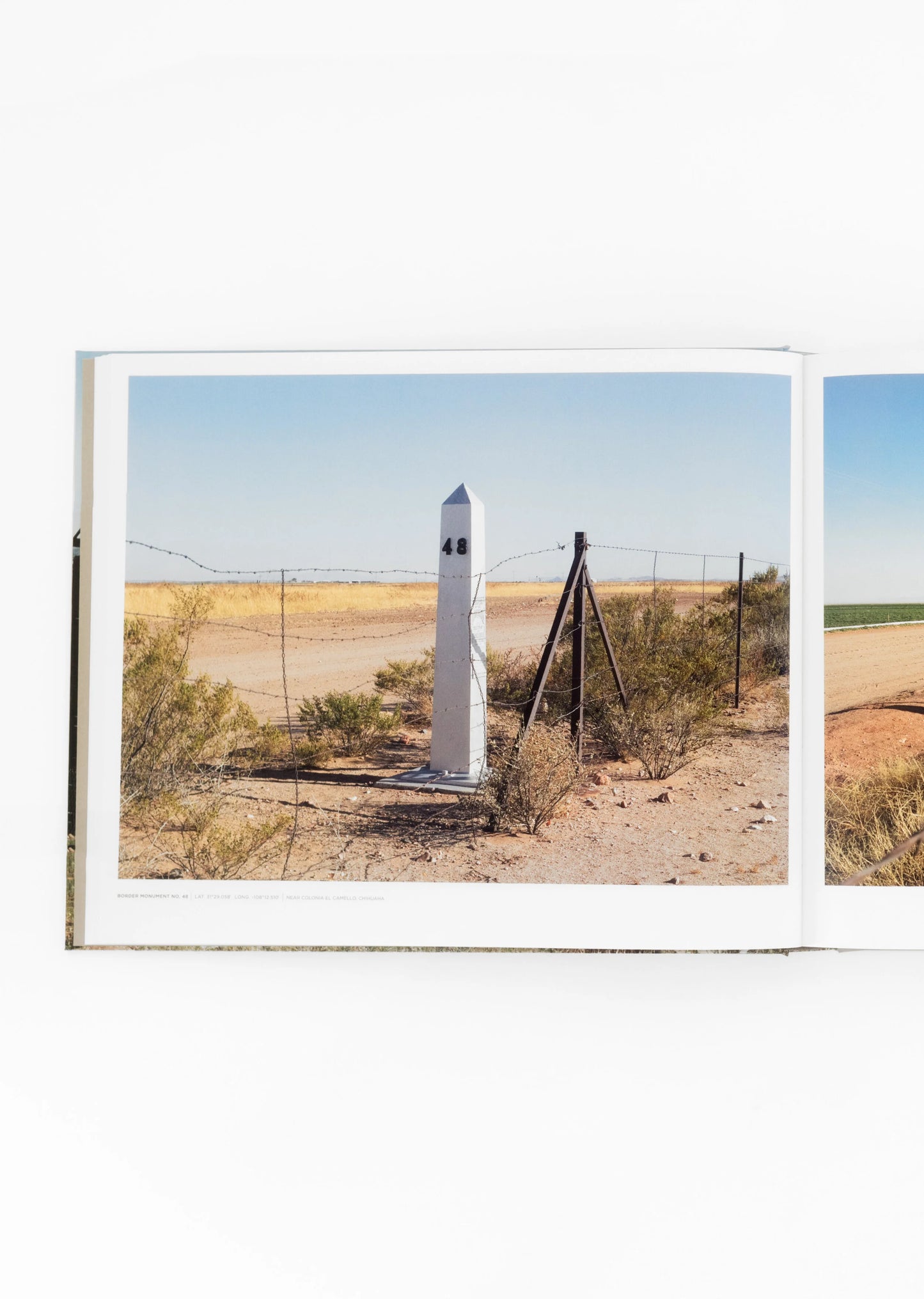 David Taylor: Monuments / Photography by David Taylor Text by Daniel D. Arreola, Claire C. Carter, William L. Fox, & Rebecca Senf