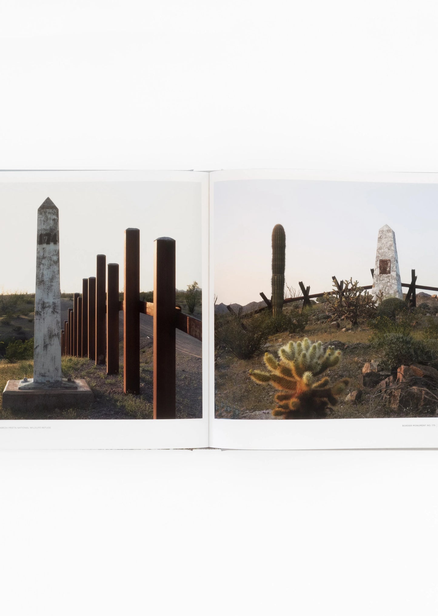 David Taylor: Monuments / Photography by David Taylor Text by Daniel D. Arreola, Claire C. Carter, William L. Fox, & Rebecca Senf