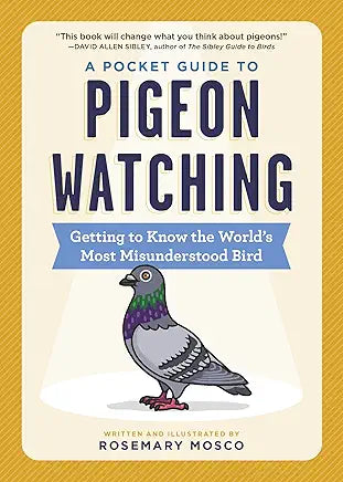 A Pocket Guide to Pigeon Watching: Getting to Know the World's Most Misunderstood Bird / by Rosemary Mosco
