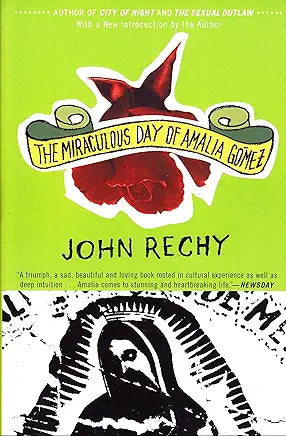 The Miraculous Day of Amalia Gomez / by John Rechy