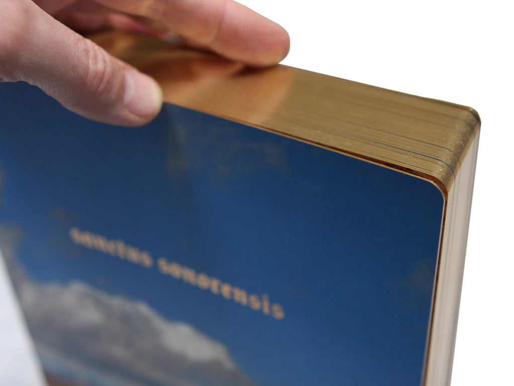 Sanctus Sonorensis / Philip Zimmerman
