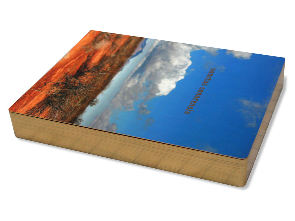 Sanctus Sonorensis / Philip Zimmerman