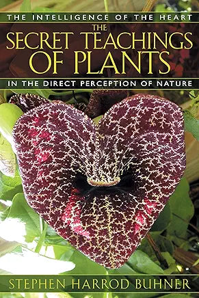 The Secret Teachings of Plants: The Intelligence of the Heart in the Direct Perception of Nature / by Stephen Harrod Buhner