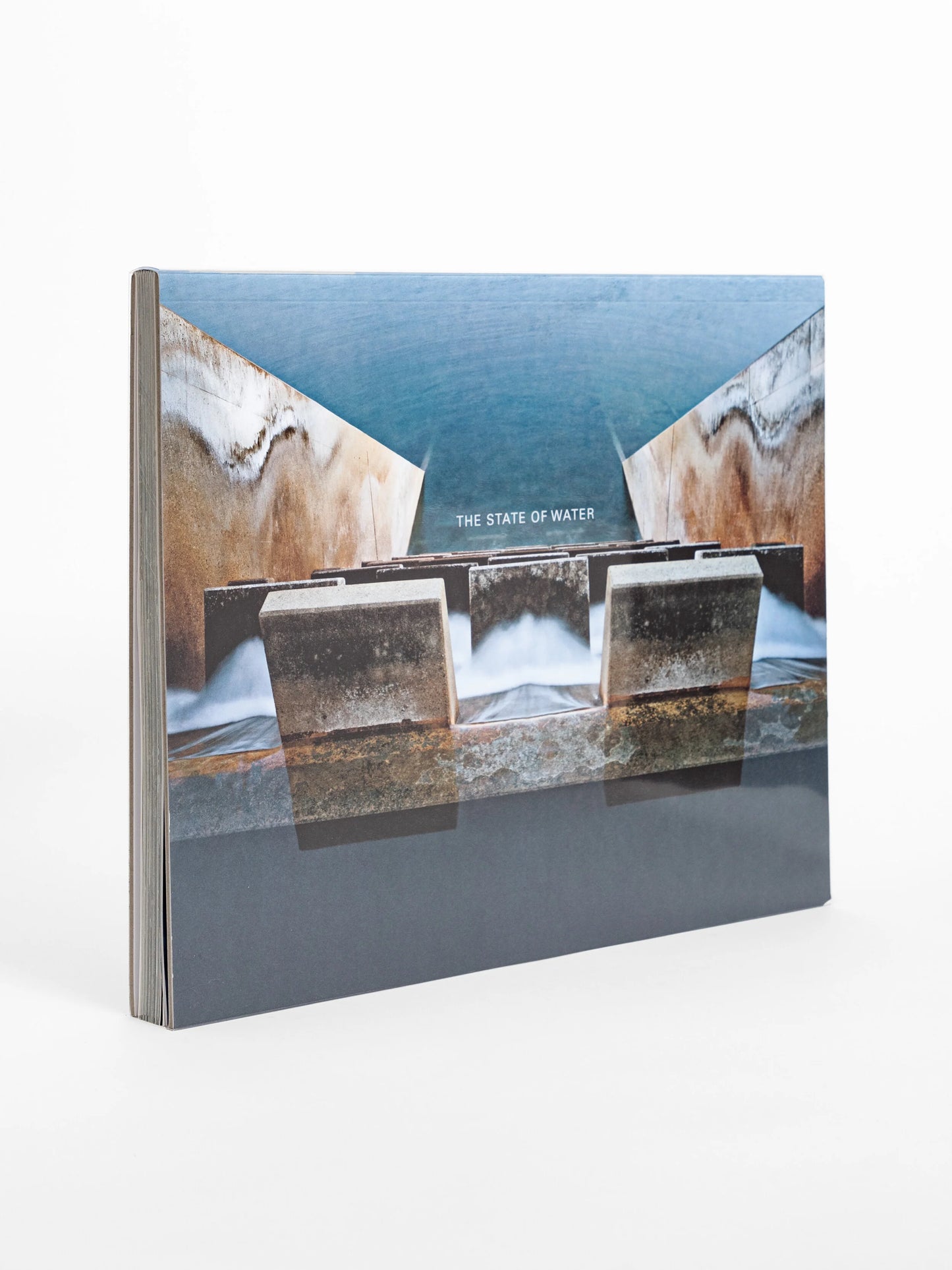 Brad Temkin: The State of Water (SIGNED)