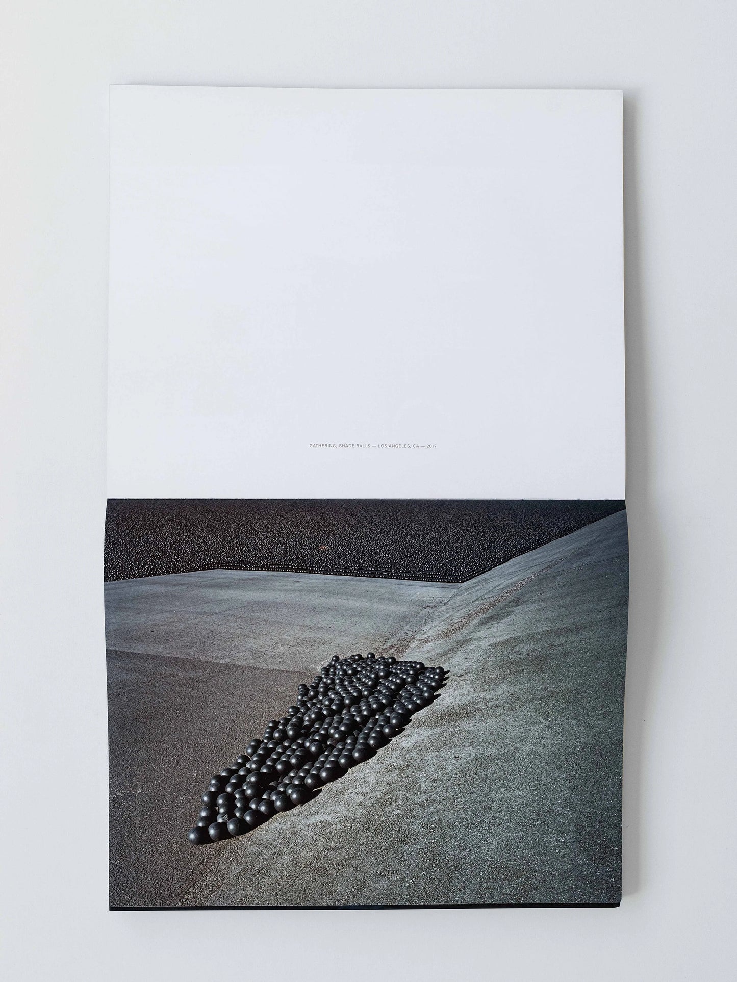 Brad Temkin: The State of Water (SIGNED)