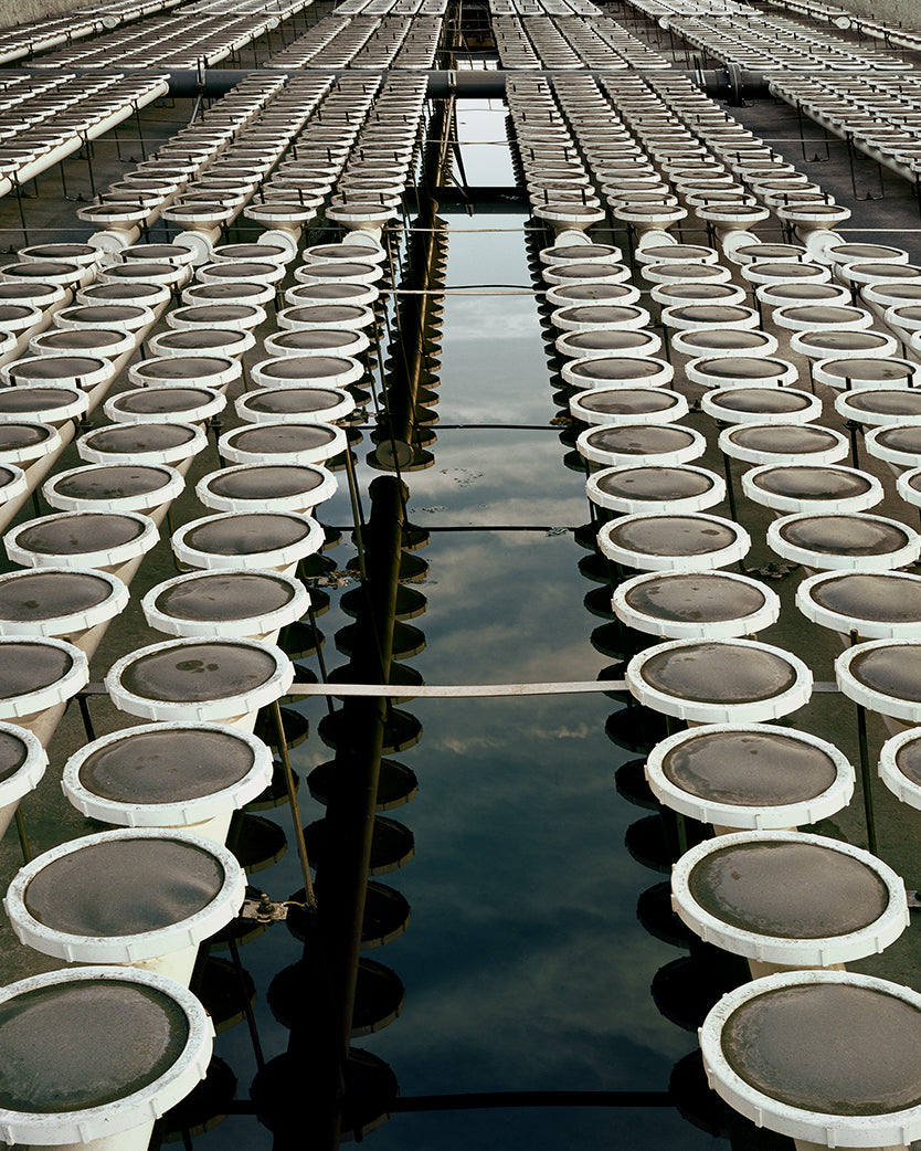 Brad Temkin: The State of Water (SIGNED)