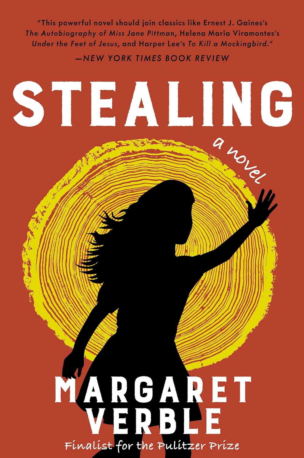Stealing: An Acclaimed Own Voices Coming-of-Age Story – A Cherokee Girl's Boarding School Survival / Margaret Verble