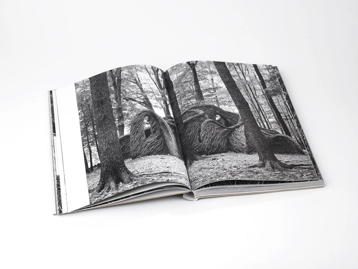 Patrick Dougherty | James Florio: Sticks