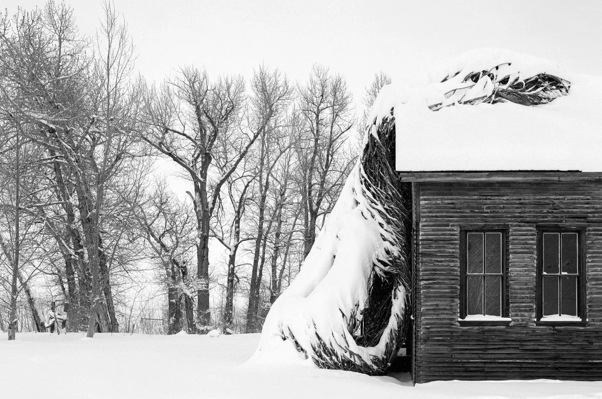 Patrick Dougherty | James Florio: Sticks