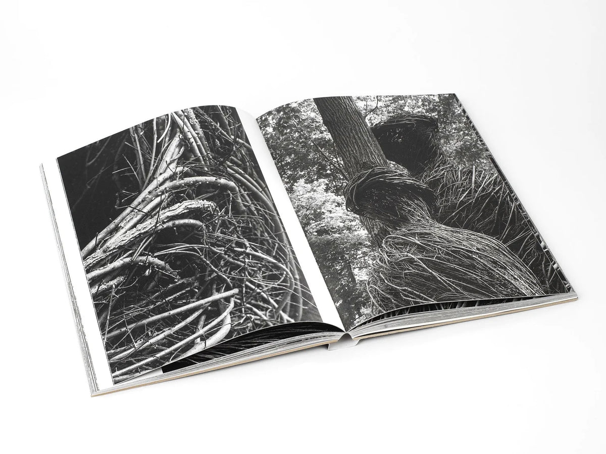 Patrick Dougherty | James Florio: Sticks