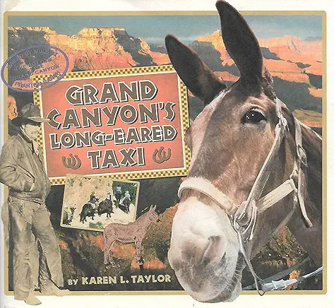 Grand Canyon's Long-Eared Taxi / by Karen L. Taylor