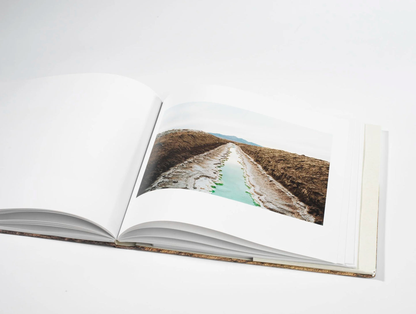 Transformations of a Landscape / by Victoria Sambunaris (SIGNED)