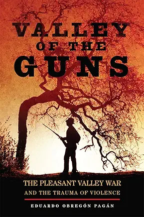Valley of the Guns / Eduardo Obregon Pagan