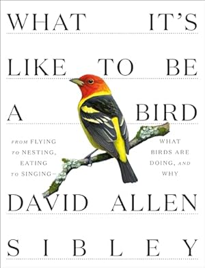 What It's Like to Be a Bird: From Flying to Nesting, Eating to Singing--What Birds Are Doing, and Why (Sibley Guides) / Sibley, David Allen